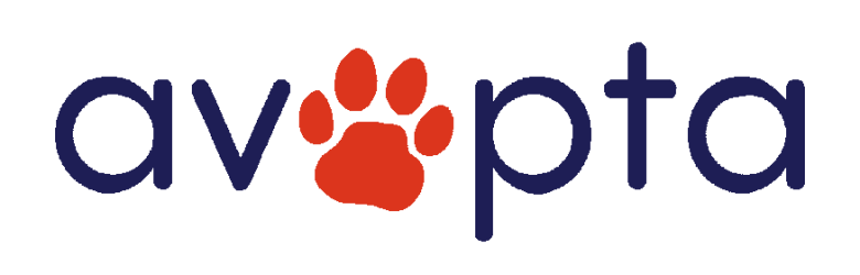 Arroyo Vista PTA